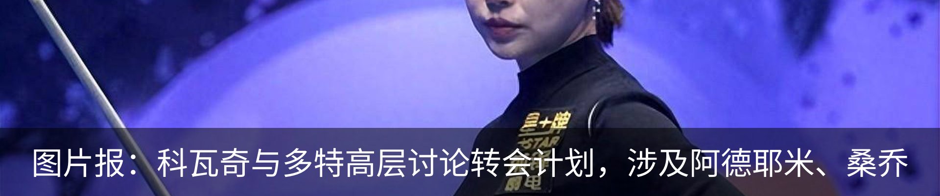 新闻动态