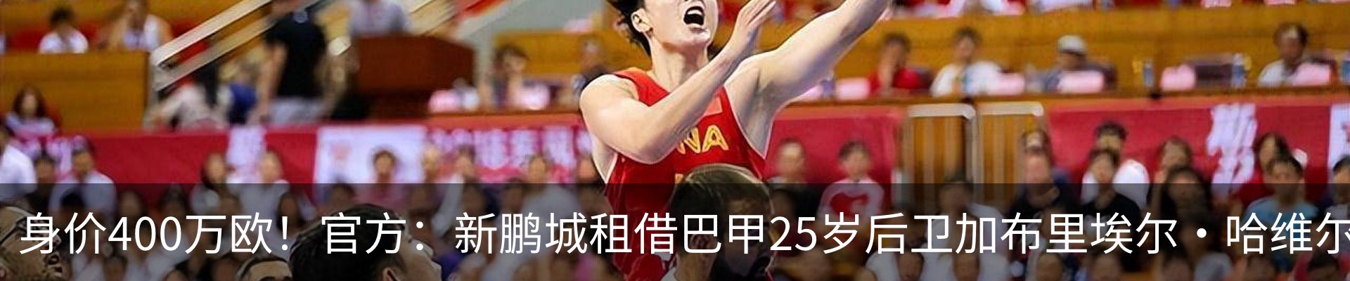 新闻动态