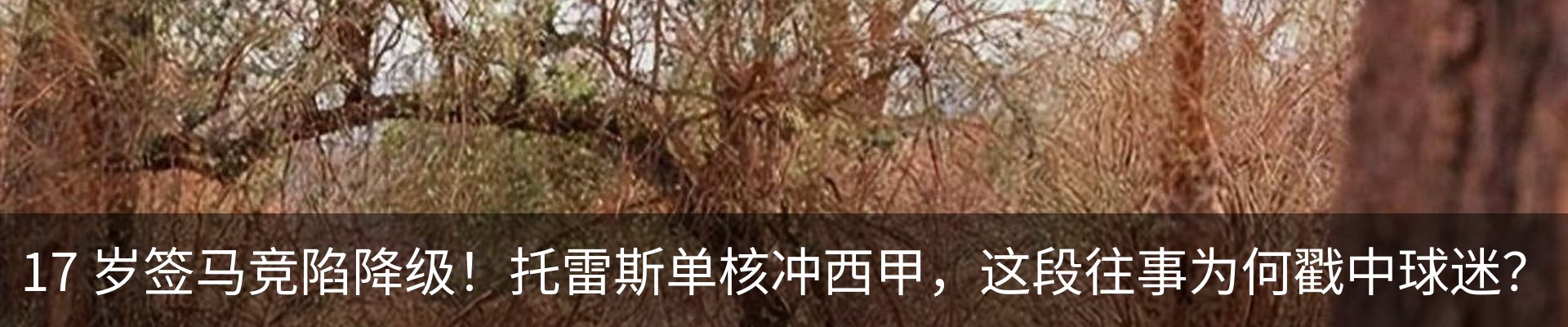 新闻动态