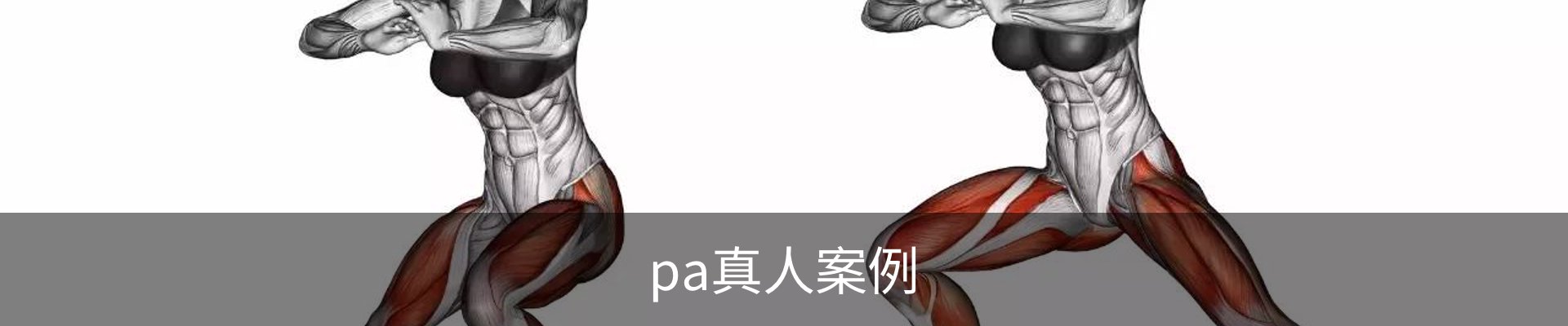 pa真人案例