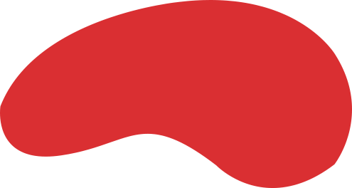pa真人案例